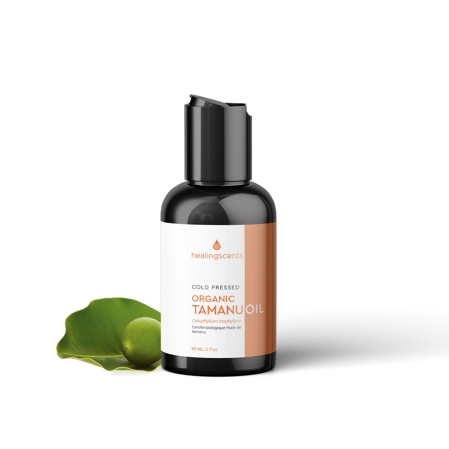 Amazon.com : NZ Country Essential Oils - Tamanu Oil - 100% Pure - Transform  Your Beauty Routine with Pure Tamanu Oil from New Zealand - Soothes Acne -  Natural Alternative for Skin